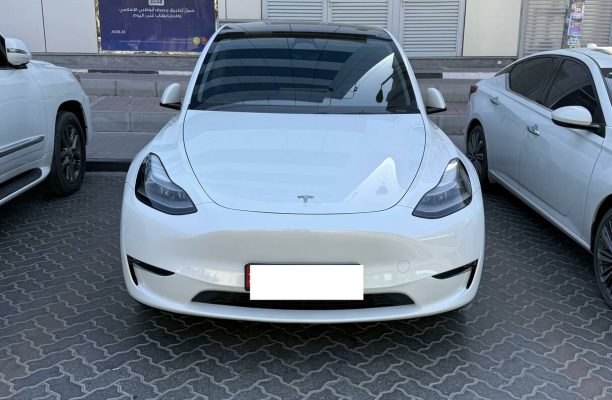 2023 Tesla Model-Y