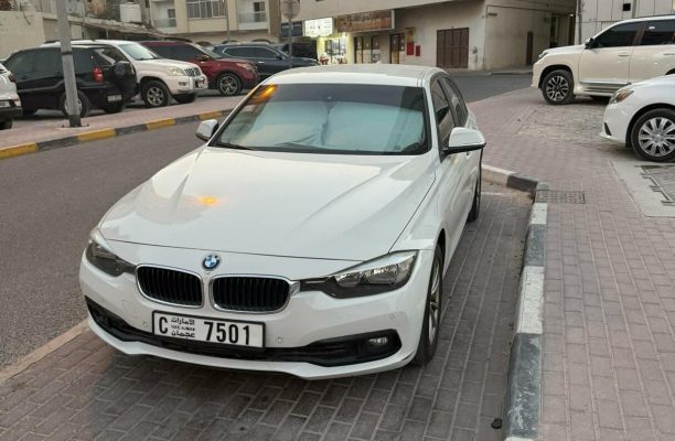 2016-2 BMW 318