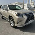 2011 Lexus GX460